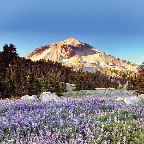 Suggested destination image for Volcanic Legacy Scenic Highway 