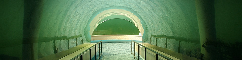 Indian Springs Metropark - Header Image