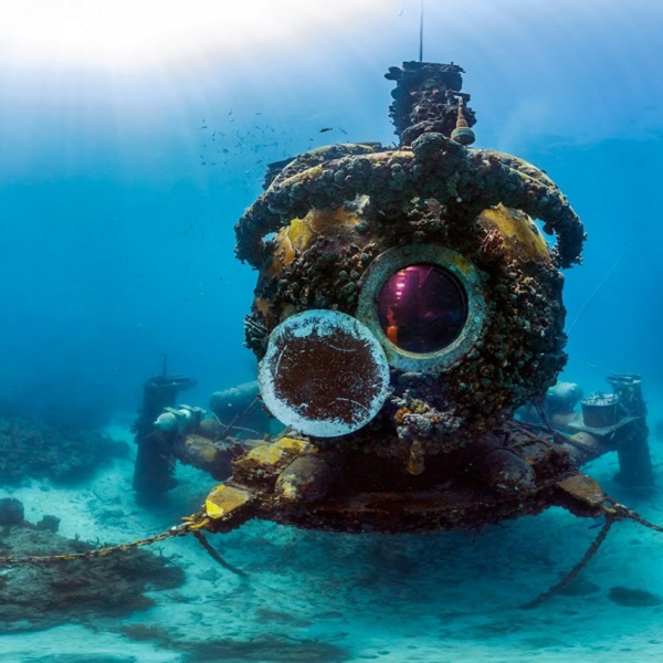 Sealife at the base of Molasses Reef has reclaimed the remnants of wreaks, providing divers and snorkelers with unique opportunities.
