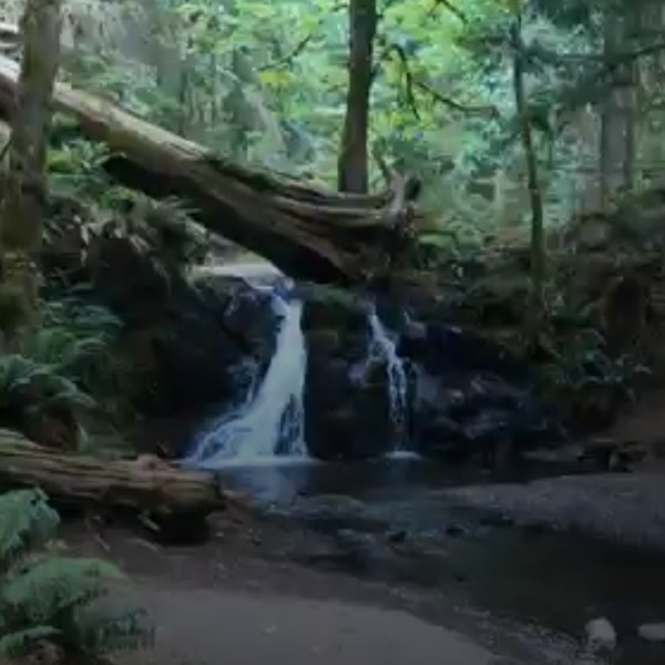 The surrounding area is lush with old-growth forests, providing scenic spots for photography and nature walks.