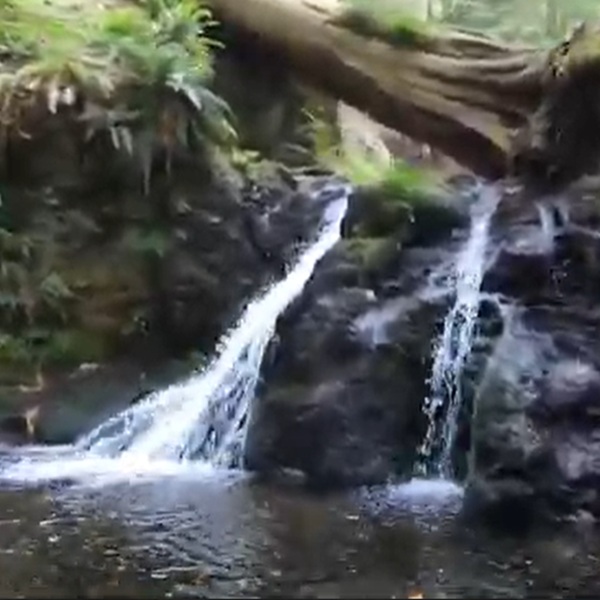 The area around Rustic Falls is dog-friendly, with pets allowed on a leash, making it a great stop for families traveling with animals.