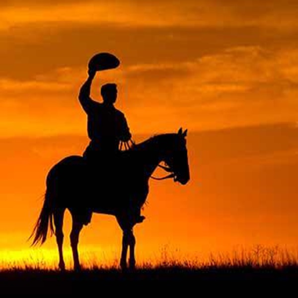 Suggested destination image for Rocking W Stables 