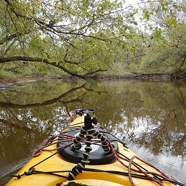 The Yellow River corridor is home to a diverse array of wildlife, including bald eagles, deer, otters, and various bird species. 