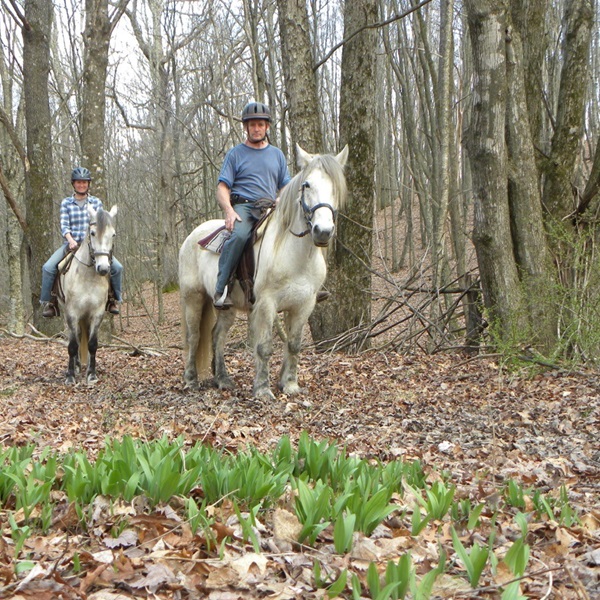 Visitors can explore miles of scenic hiking trails, go fishing in nearby streams and rivers, or simply relax and take in the natural beauty of the surroundings. 