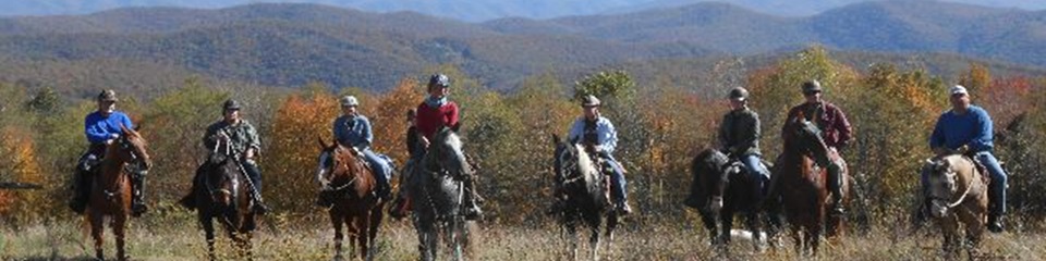 Shalimar Farm  - Header Image