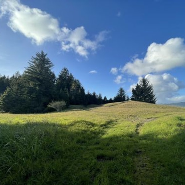 Featured image for Yaa-daa-k'vt-Tolowa Dunes State Park