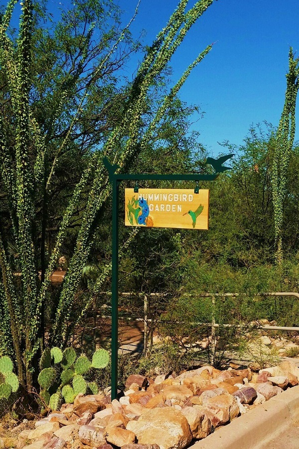 Benson Visitor Center  - Display Image
