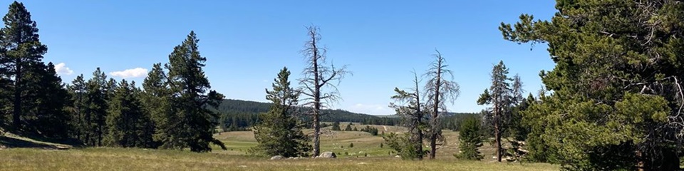 East Ten Sleep Lake Trail - Header Image