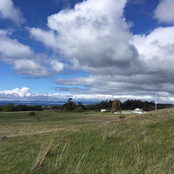 American Camp preserves one of the last remaining native coastal prairie ecosystems in Washington State.
