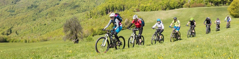 Greenbrier River Trail   - Header Image