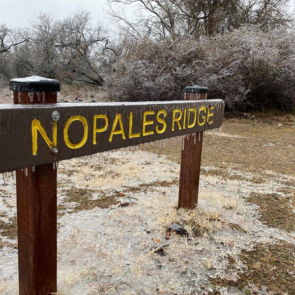 Suggested destination image for Nopales Ridge Trail