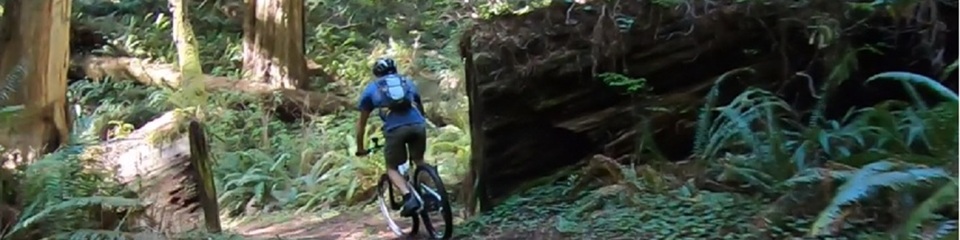 Last Chance Section of Coastal Trail - Header Image