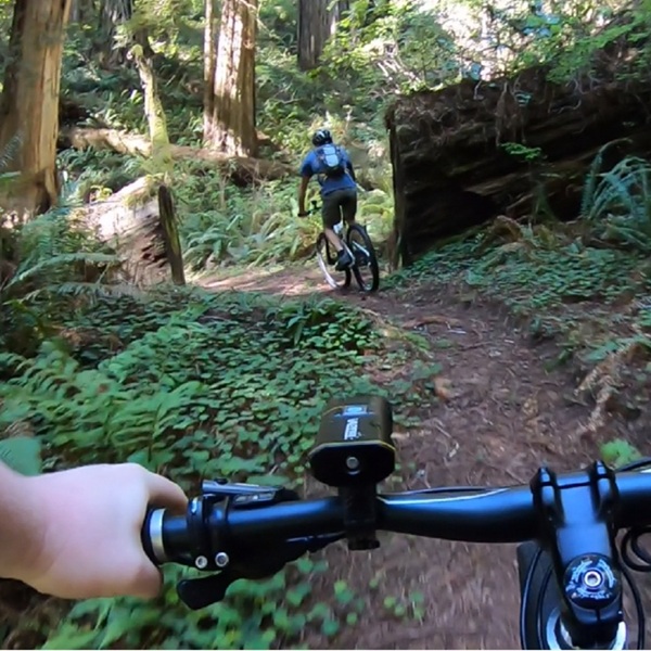 Suggested destination image for Last Chance Section of Coastal Trail