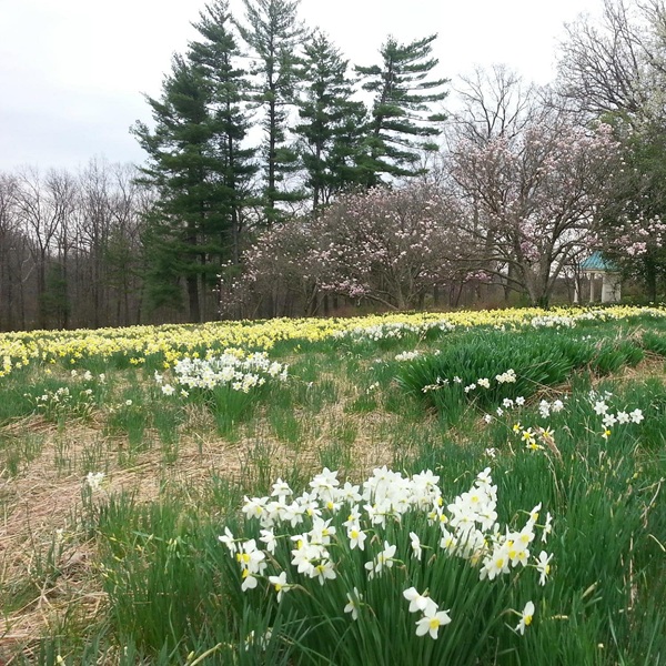 Suggested image for Shaw Nature Preserve 