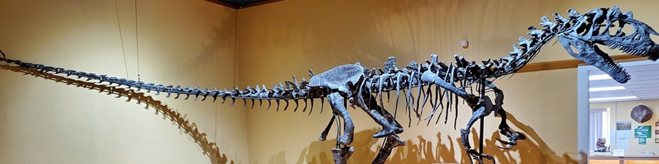 Paleon Museum - Header Image