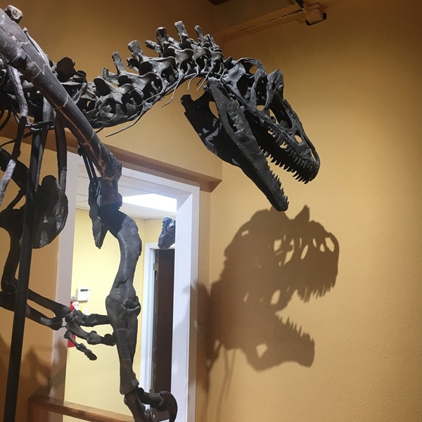 Paleon Museum - Webpage Image