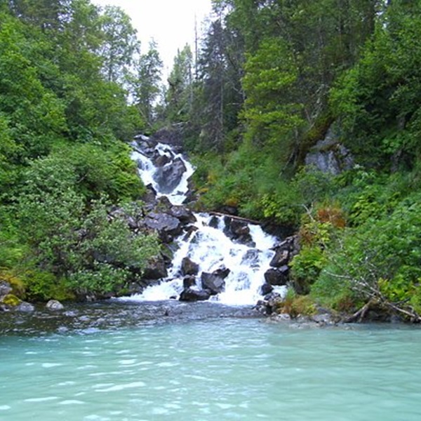The Russian River Falls on the Russian River outside Cooper Landing, Alaska. 