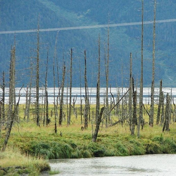 Seward Highway  - Webpage Image