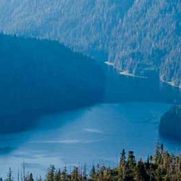 Ketchikan is Alaska’s southernmost major city, connecting the Inside Passage waterway with Puget Sound.