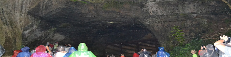Sauta Cave National Wildlife Refuge  - Header Image