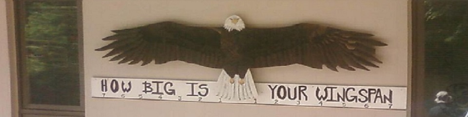Alaska Raptor Center - Header Image