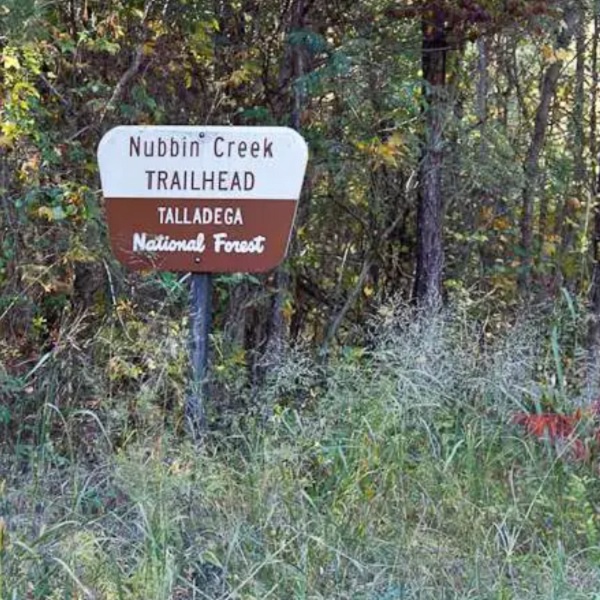 The Nubbin Creek Trail trailhead begins at the parking area located about 10 miles from Lineville. 