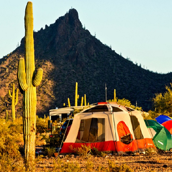 The Picacho Peak campground sits in the Sonoran Desert at the base of the mountain. 