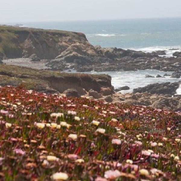 With no box stores, Cambria has boutiques to explore as “one of America’s prettiest towns”