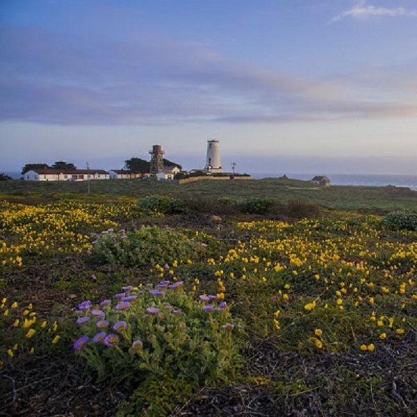 Suggested image for Point Conception Lighthouse