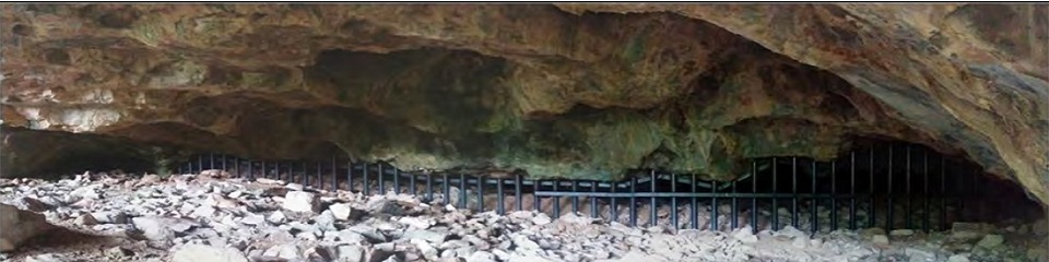 Spring Cave - Header Image