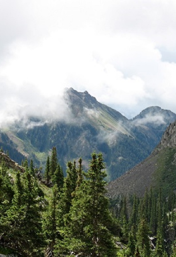Vallecito Lake Chamber of Commerce - Display Image