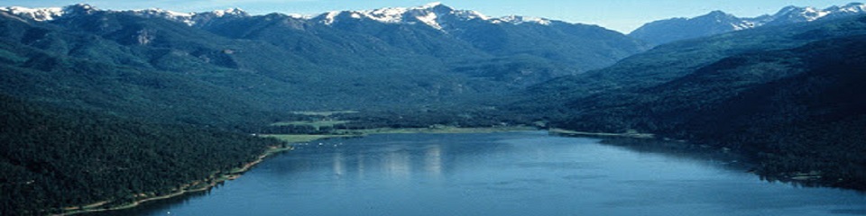 Lake Vallecito Campground - Header Image
