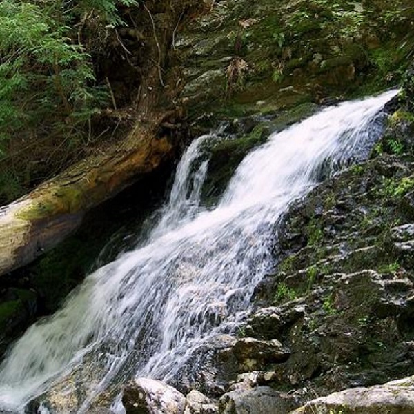 Carpenter’s Falls    - Webpage Image