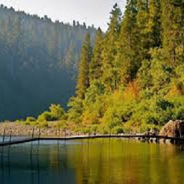 The campground is linked with the Stout Grove by a wooden pedestrian bridge over the pristine Smith River. 