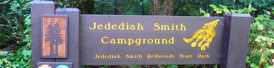 Jedediah Smith Redwoods State Park    - Header Image