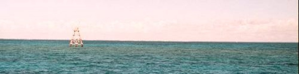 Molasses Reef Lighthouse - Header Image
