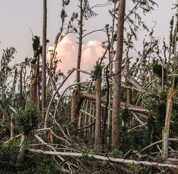 Marianna is home to the Florida Caverns State Park. Hurricane Michael left very few trees standing throughout the park, but its caverns above and below the surface of the ground survived.