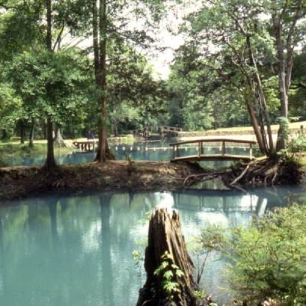 Loggers made cuts through the Chipola River natural bridge to enable logs to get through. 
