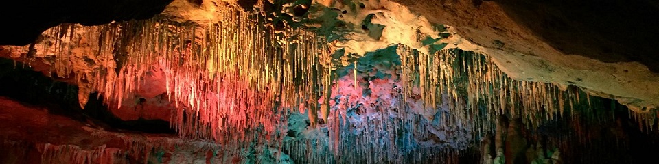 Florida Caverns - Header Image