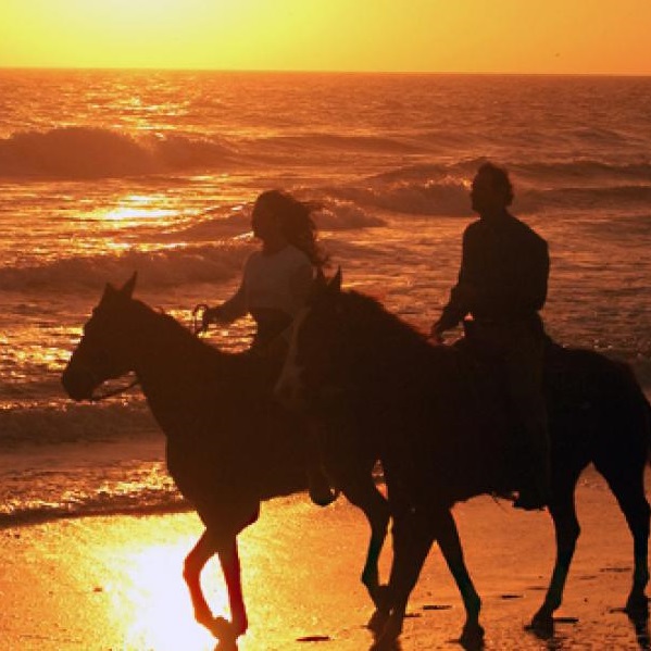 Amelia Island - Webpage Image