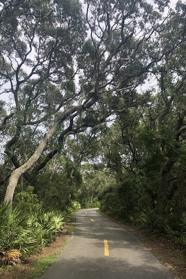 Big Pine Trail  - Display Image