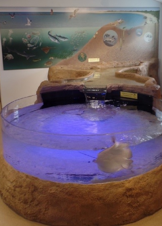 Seaside Nature Center  - Display Image