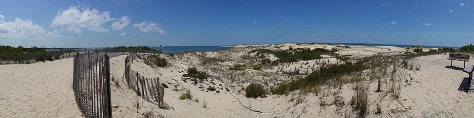 Cape Henlopen State Park   - Header Image