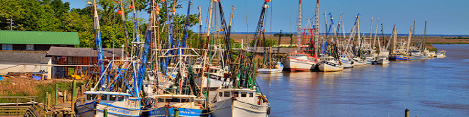 Discover Darien - Header Image