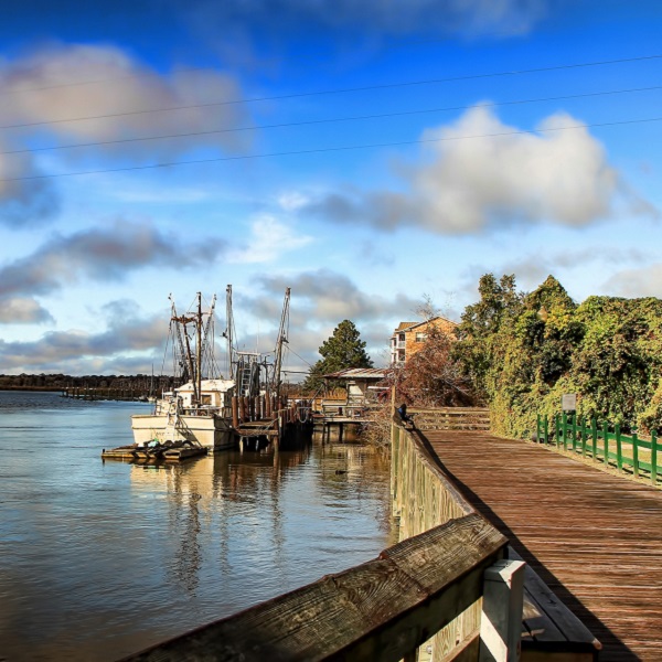 Discover Darien - Webpage Image