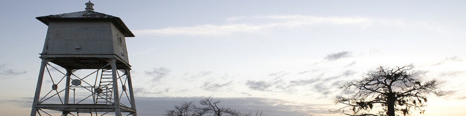 Sapelo Island Front Range Lighthouse  - Header Image