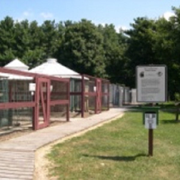 Iowa native animals that are rescued but are unable to be returned to the wild live at the center and provide educational opportunities to the public about conservation.