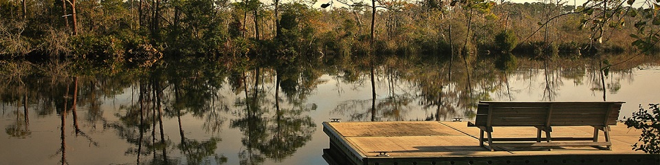 White Oak Conservation  - Header Image