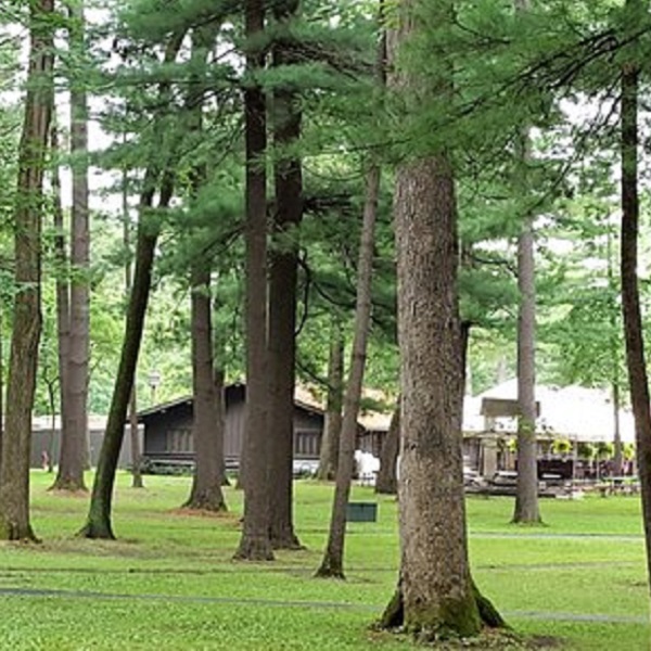 Suggested destination image for White Pines Forest State Park