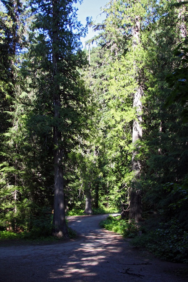 North Idaho Tourism Alliance   - Display Image
